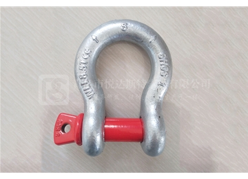 Screw Pin Anchor Shackle U.S .Type